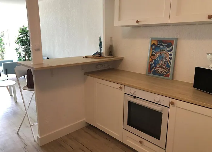 T2 4/5 Personnes Avec Vue Mer, Acces Plage, Parking Prive - Fr-1-472-204 Apartman Sète