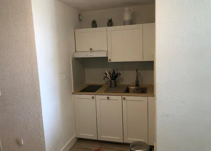Apartman T2 4/5 Personnes Avec Vue Mer, Acces Plage, Parking Prive - Fr-1-472-204