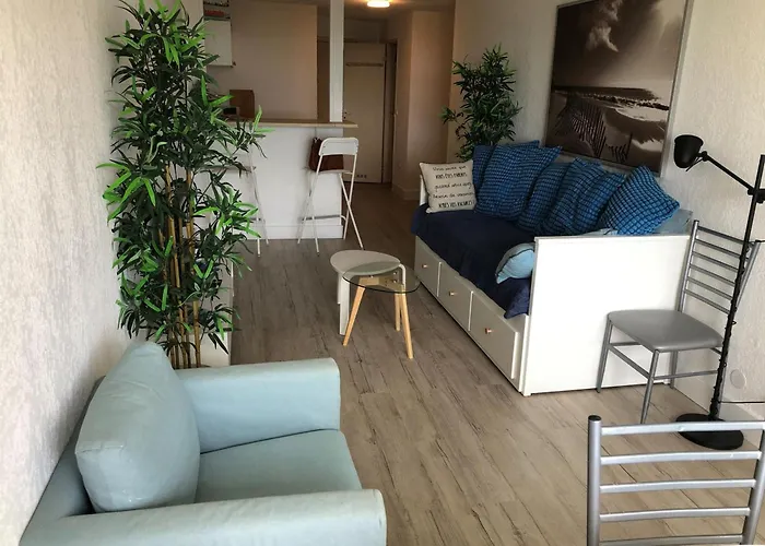 Apartman T2 4/5 Personnes Avec Vue Mer, Acces Plage, Parking Prive - Fr-1-472-204