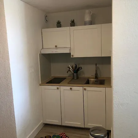 Appartement T2 4/5 Personnes Avec Vue Mer, Accès Plage, Parking Privé - Fr-1-472-204