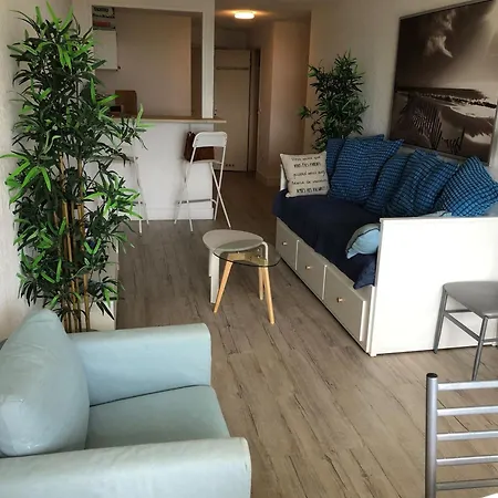 Appartement T2 4/5 Personnes Avec Vue Mer, Accès Plage, Parking Privé - Fr-1-472-204